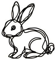 rabbit